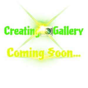 Ch 6 creating gallery coming soon 2